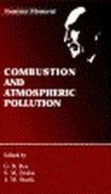 Roy G., Frolov S., Starik A. «Combustion and atmospheric pollution»
